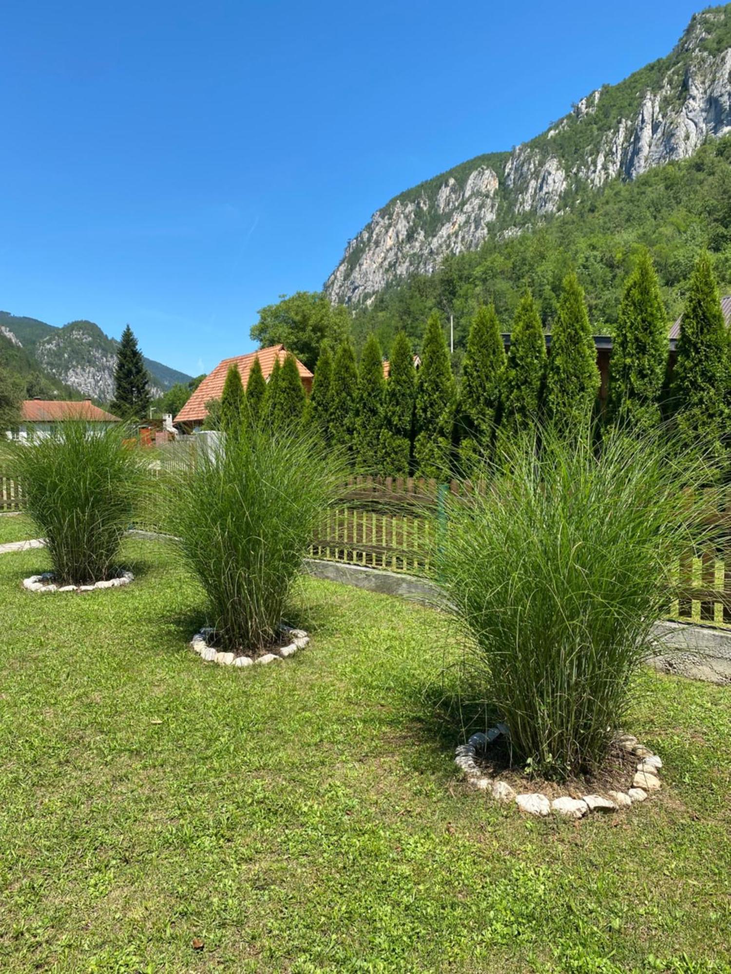 Apartmani D&S Mokra Gora Exteriör bild